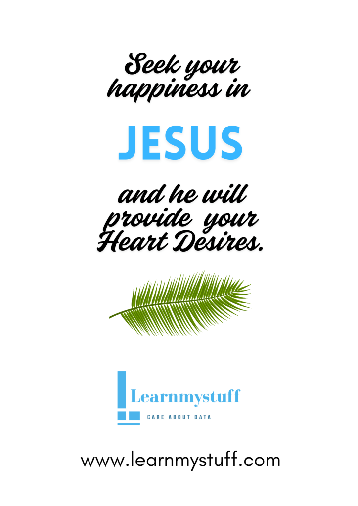 Seek Your Happiness In Jesus #learnmystuff #hosanna #jesus #happiness 